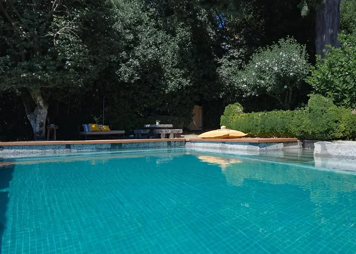 Quinta De Sao Francisco Houses ヴィゼウの写真
