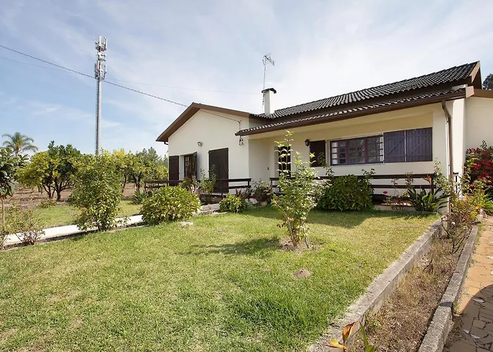Mita'S Country House Almagreira  photo