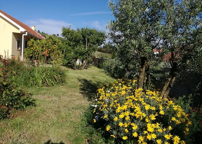 Casa Joao Do Vale Villa Delgada foto